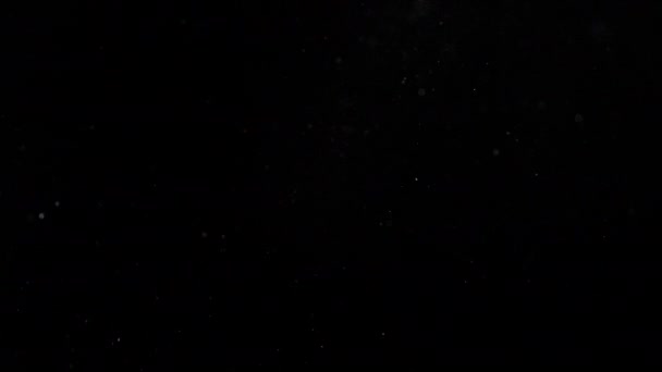 Domestic Dust Particles Flying Air Black Backgroundm Unadorned Real Life — Vídeo de Stock