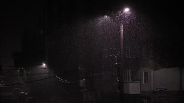 Double Led Panel Lamppost Heavy Rain Night Midsize View Raindrops — Stock video