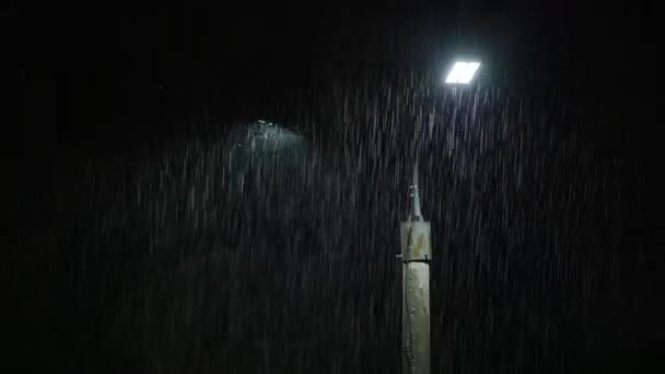 Double Led Panel Lamppost Heavy Rain Night Midsize View Raindrops — Wideo stockowe