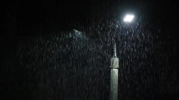 Double Led Panel Lamppost Heavy Rain Night Midsize View Raindrops — Stock video