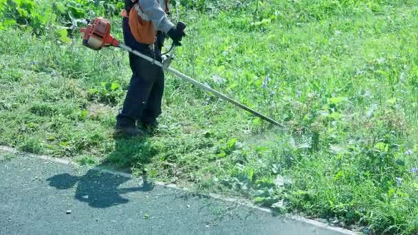 地方自治体の芝刈り機男労働者遅い動きでディスクトリマーで乾燥した草を切断 — ストック動画