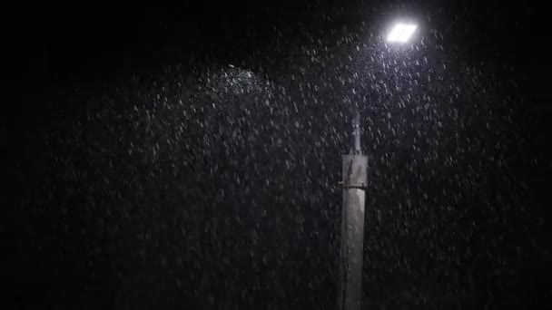 Double Led Panel Lamppost Heavy Rain Night Midsize View Raindrops — Stock Video