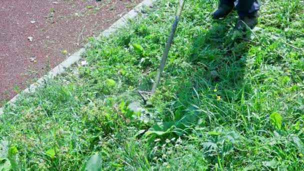 Municipal Lawnmover Man Worker Cutting Dry Grass Disc Trimmer Day — Stockvideo