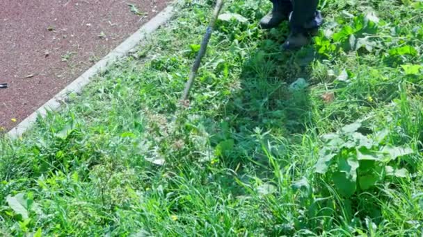 地方自治体の芝刈り機男労働者遅い動きでディスクトリマーで乾燥した草を切断 — ストック動画
