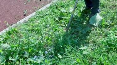 municipal lawnmover man worker cutting dry grass with disc trimmer at day time in slow motion