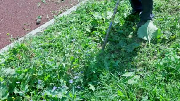 Municipal Lawnmover Man Worker Cutting Dry Grass Disc Trimmer Day — Vídeos de Stock