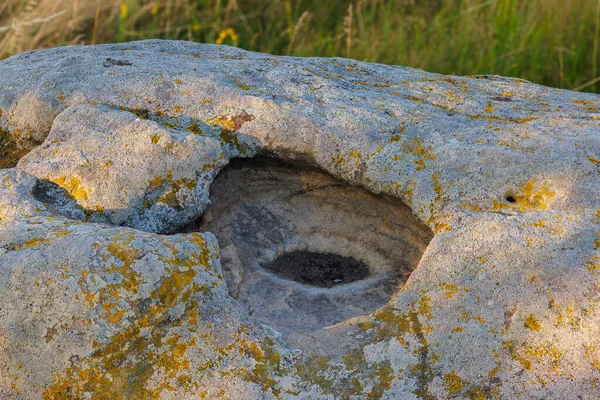 Ліхен Поверхні Пісковика Кварциту Піонер Лишайник Bare Rock Succession Який — стокове фото