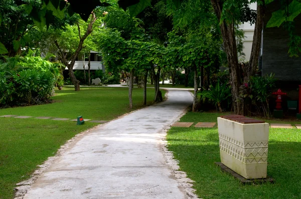 Bochtige wandelpad — Stockfoto