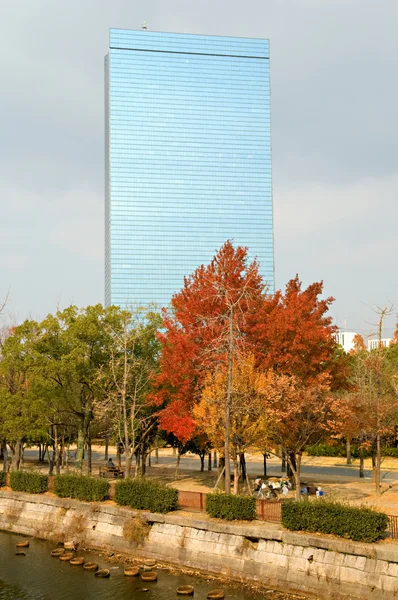View of building in city park — Stock Photo, Image