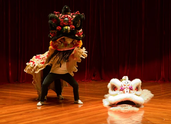 Lion dance — Stock Photo, Image