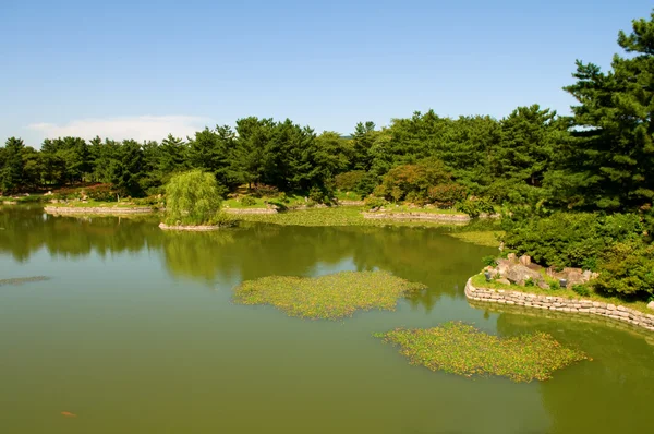 Jardinería — Foto de Stock