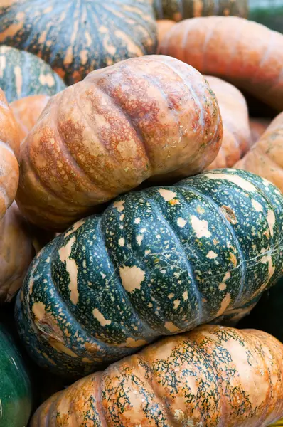 Pumpkins — Stock Photo, Image