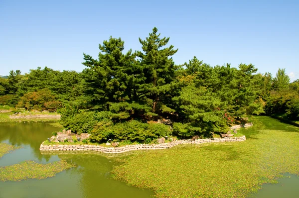 Jardinería — Foto de Stock