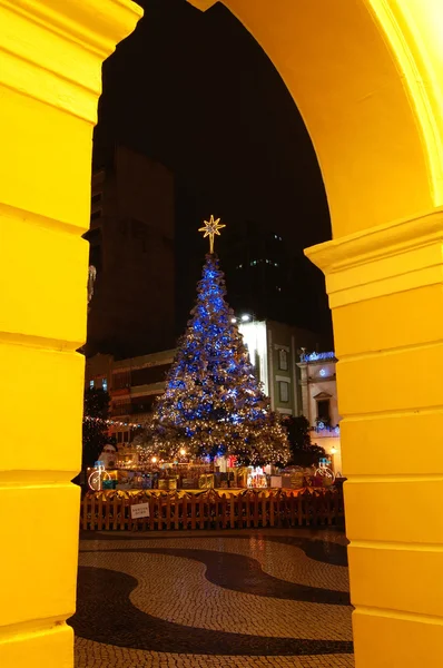 在拉哥做议事亭前，澳门的圣诞树 — 图库照片
