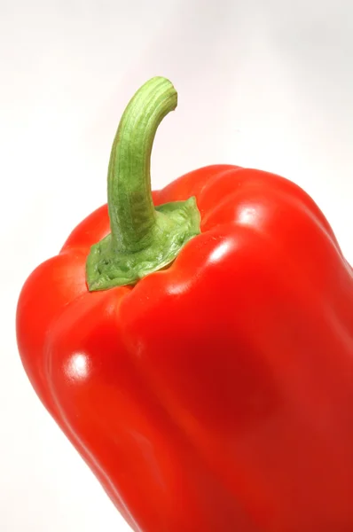 Isolierte Paprika — Stockfoto