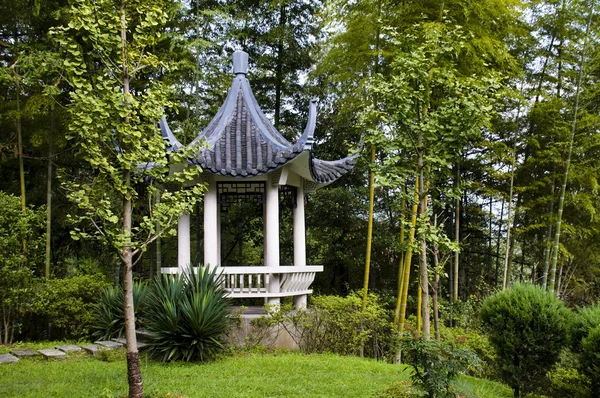 Chinesischer Garten — Stockfoto