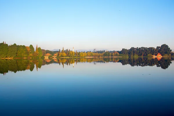 Reflexión del bosque — Foto de Stock