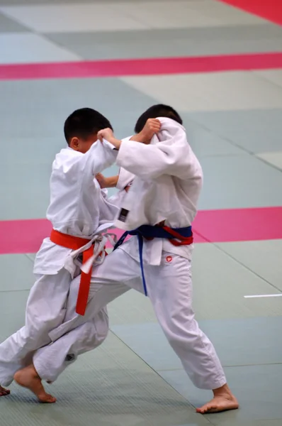 Niños de karate —  Fotos de Stock