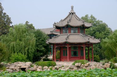 Lotus göleti