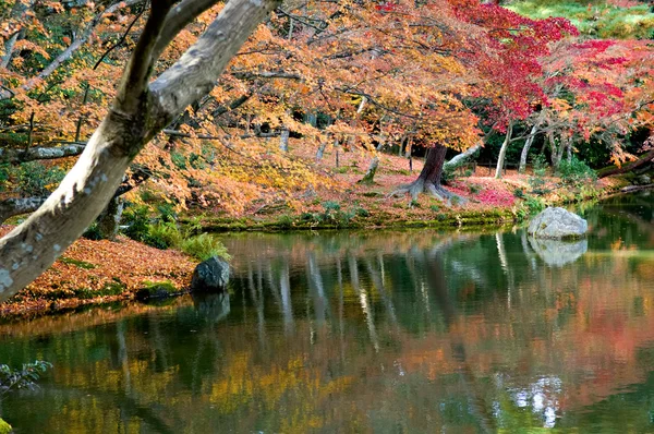 Gartenarbeit — Stockfoto