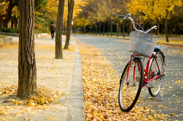 自転車 — ストック写真