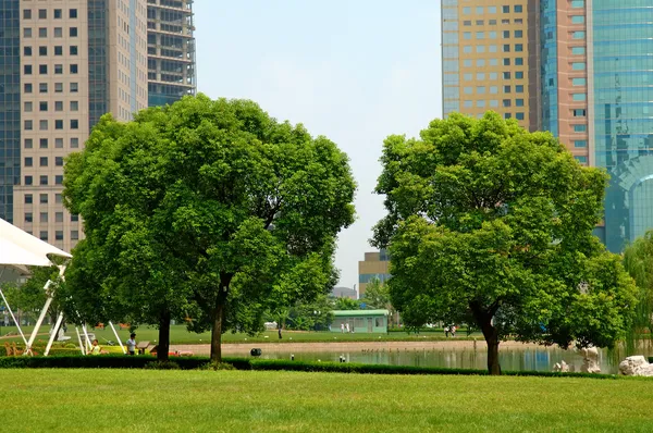 背景の建物の上の木 — ストック写真