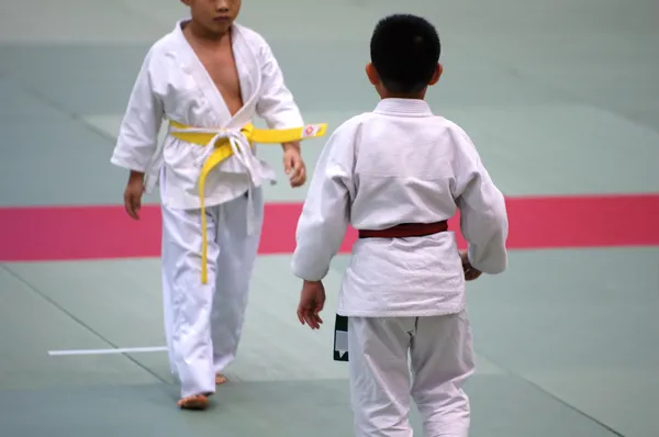 Bambini di karate Immagine Stock