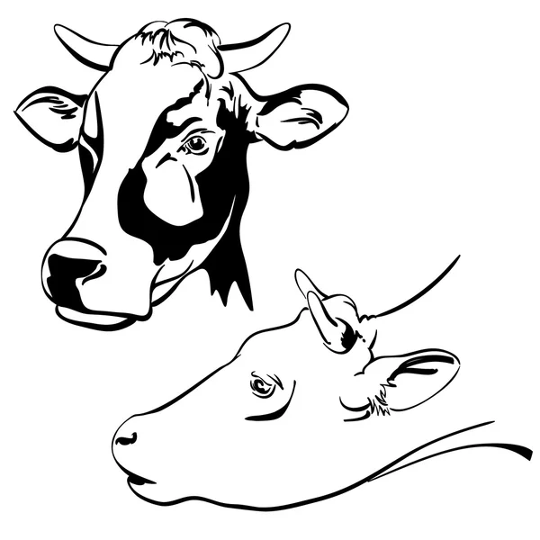 Cow set sketch vector illustration Vector Graphics