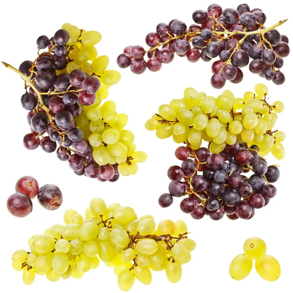 Collection of ripe fruit grape cluster — Stock Photo, Image