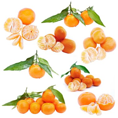 Set of mandarin clipart