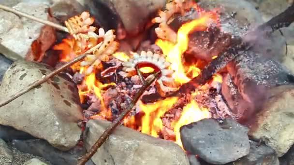 Tocino sobre una fogata — Vídeo de stock