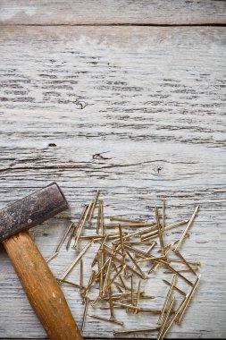 çekiç ve çivi