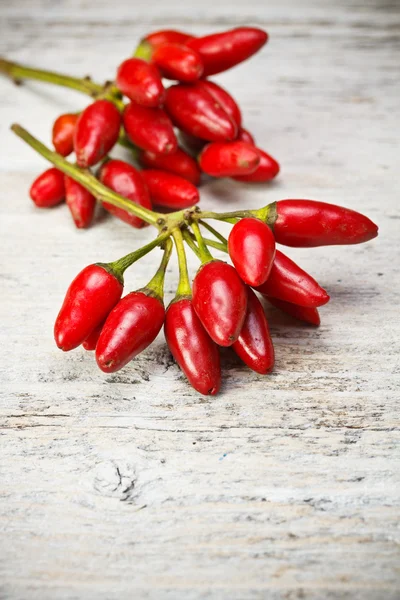 Paprika — Stockfoto