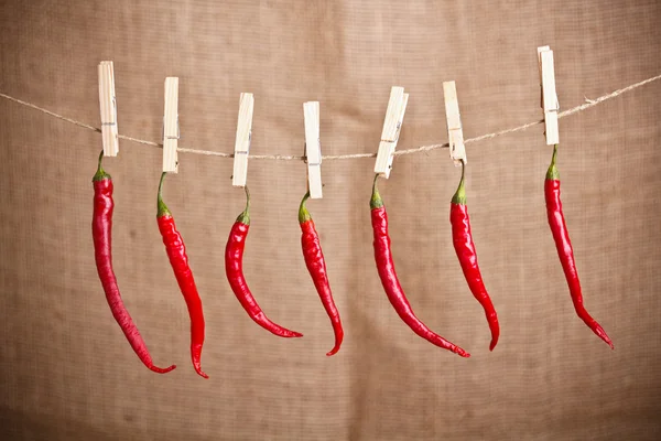 Pimientos rojos picantes — Foto de Stock