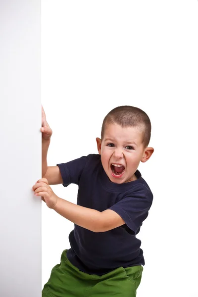 Niño con una pancarta —  Fotos de Stock