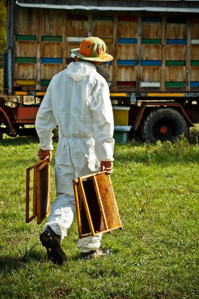 Méhész munkahelyi — Stock Fotó