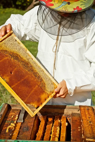 Beekeeper — Stock Photo, Image