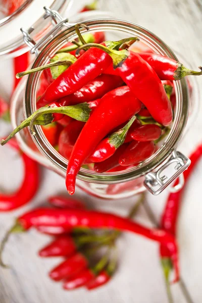 Färsk röd chilipeppar — Stockfoto