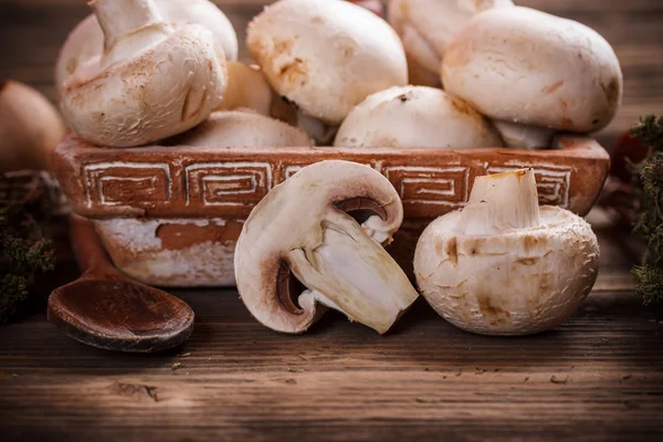 Frische Champignons — Stockfoto