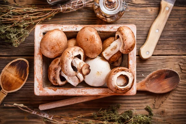 Funghi marroni freschi — Foto Stock