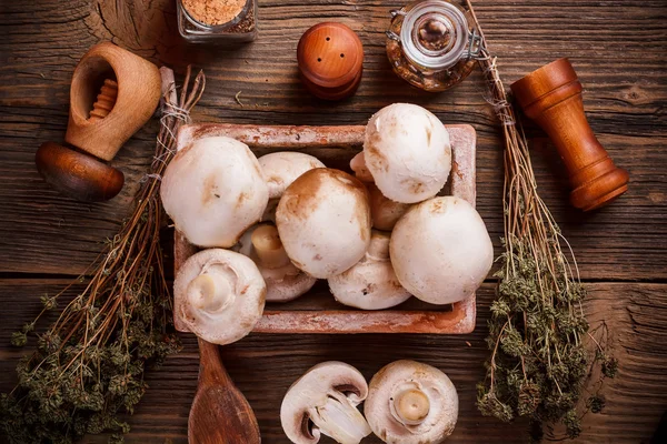 Verse eetbare paddestoelen — Stockfoto