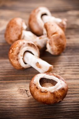 taze kahverengi petrol