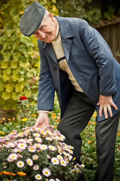 Uomo anziano con fiore — Foto Stock