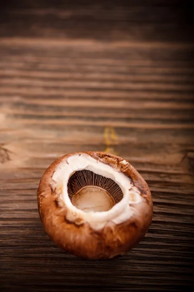 Brown mushroom — Stock Photo, Image