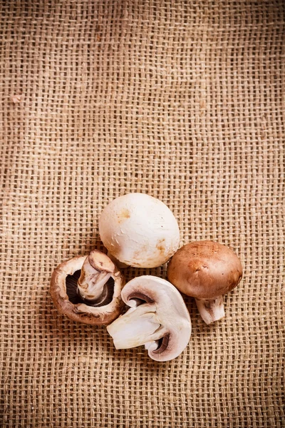 Raw mushrooms — Stock Photo, Image