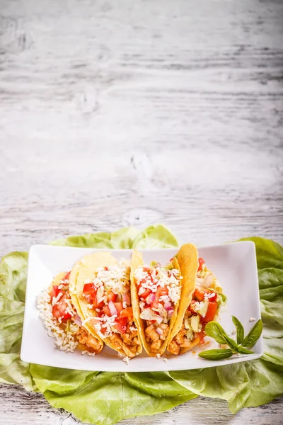 Tacos with chicken — Stock Photo, Image