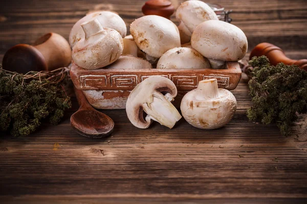 Frische weiße Champignons — Stockfoto