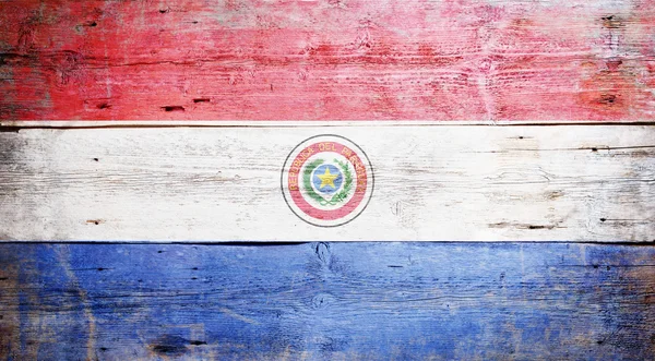 Bandeira do paraguai — Fotografia de Stock