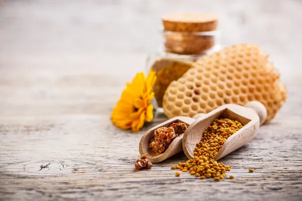 Pollen und Propolis — Stockfoto