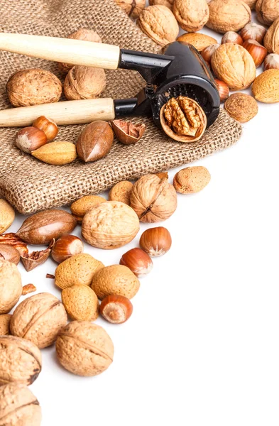 Odrůdy ořechů — Stock fotografie